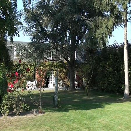 Le Petit Pont Hotel Moncé-en-Belin Kültér fotó