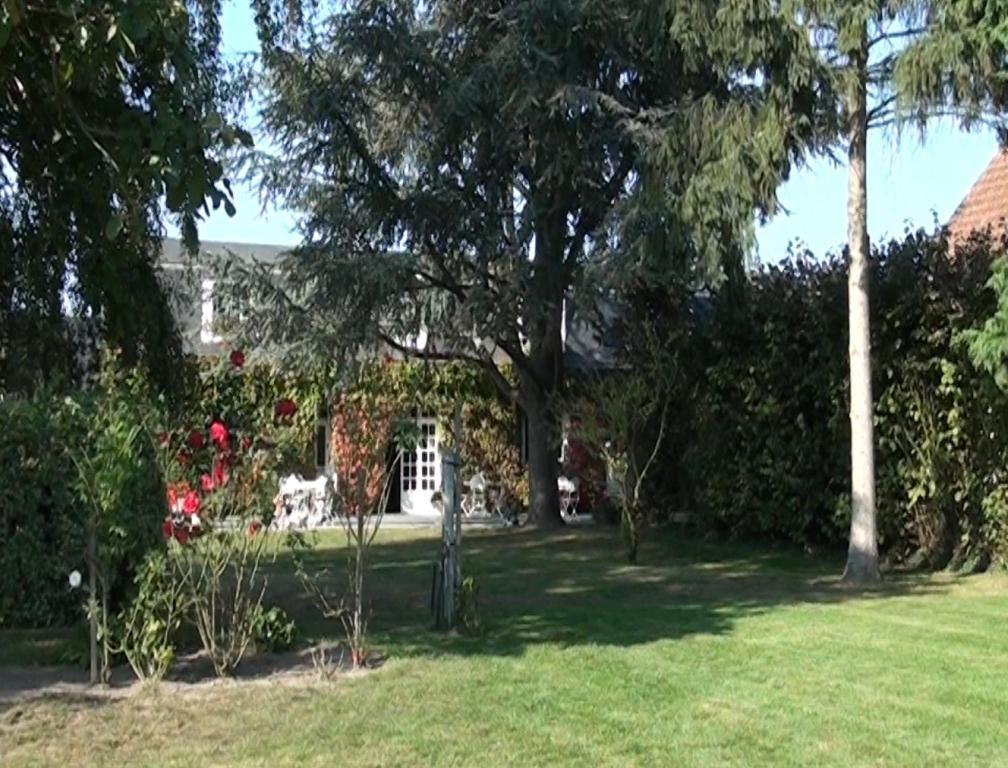 Le Petit Pont Hotel Moncé-en-Belin Kültér fotó